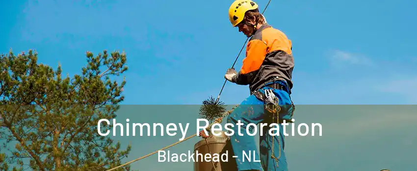  Chimney Restoration Blackhead - NL