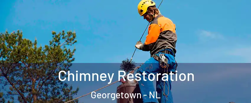  Chimney Restoration Georgetown - NL