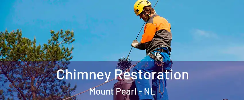  Chimney Restoration Mount Pearl - NL