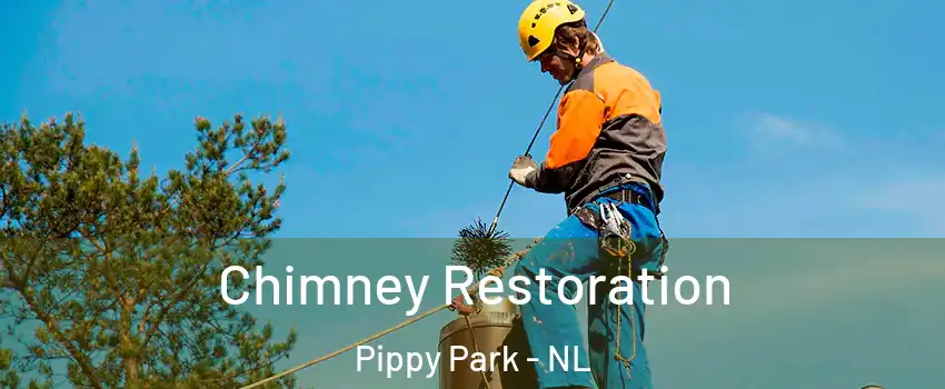 Chimney Restoration Pippy Park - NL