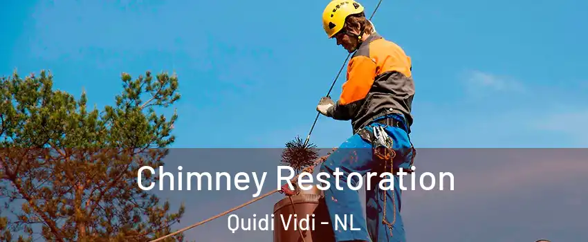  Chimney Restoration Quidi Vidi - NL