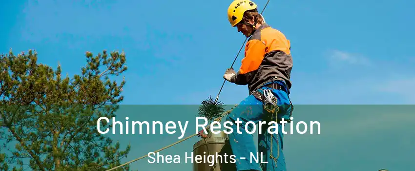  Chimney Restoration Shea Heights - NL