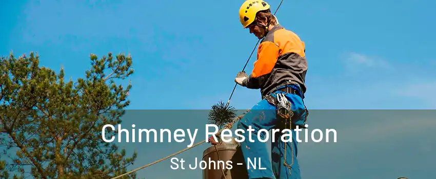  Chimney Restoration St Johns - NL