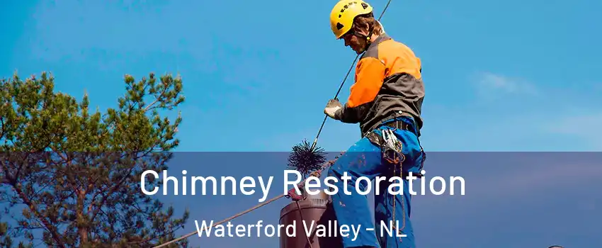  Chimney Restoration Waterford Valley - NL
