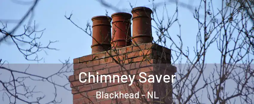  Chimney Saver Blackhead - NL