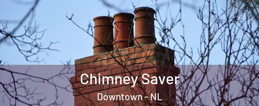  Chimney Saver Downtown - NL