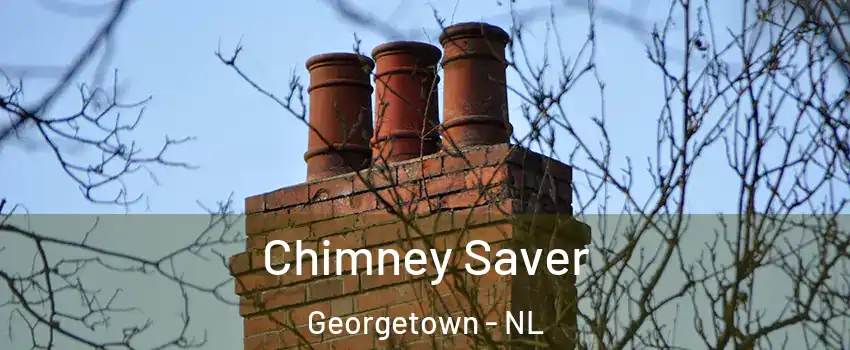  Chimney Saver Georgetown - NL