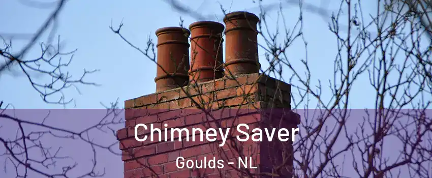  Chimney Saver Goulds - NL