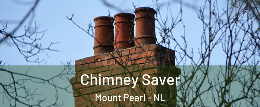  Chimney Saver Mount Pearl - NL