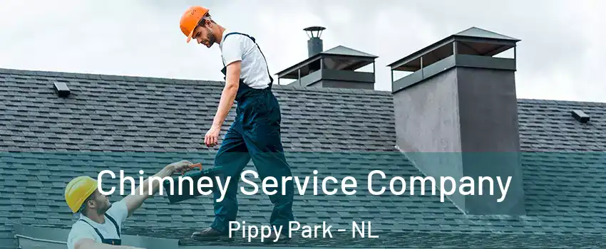  Chimney Service Company Pippy Park - NL