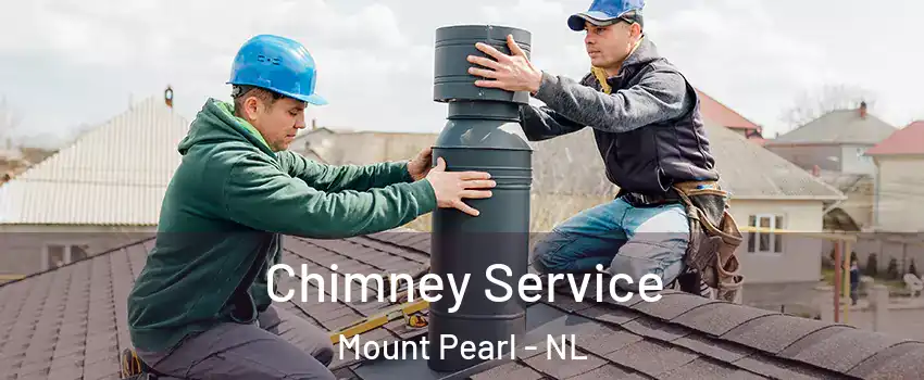  Chimney Service Mount Pearl - NL