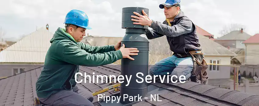  Chimney Service Pippy Park - NL