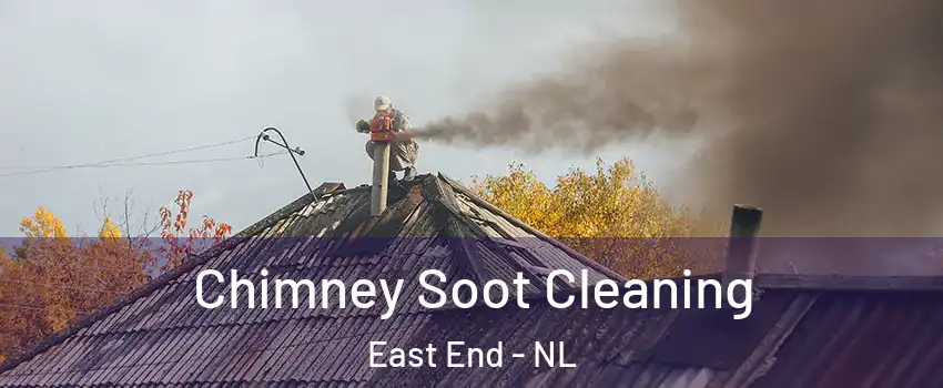  Chimney Soot Cleaning East End - NL