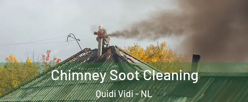  Chimney Soot Cleaning Quidi Vidi - NL