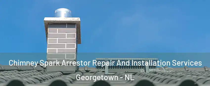  Chimney Spark Arrestor Repair And Installation Services Georgetown - NL