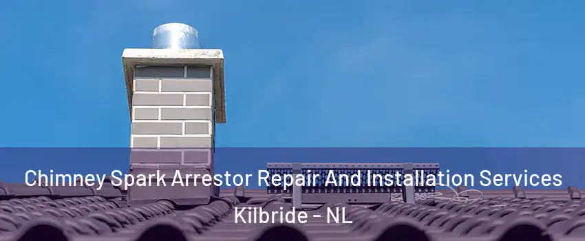  Chimney Spark Arrestor Repair And Installation Services Kilbride - NL