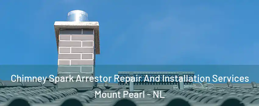  Chimney Spark Arrestor Repair And Installation Services Mount Pearl - NL