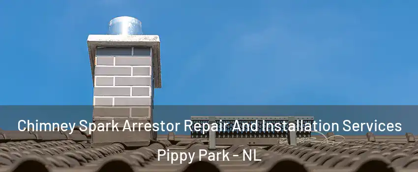  Chimney Spark Arrestor Repair And Installation Services Pippy Park - NL