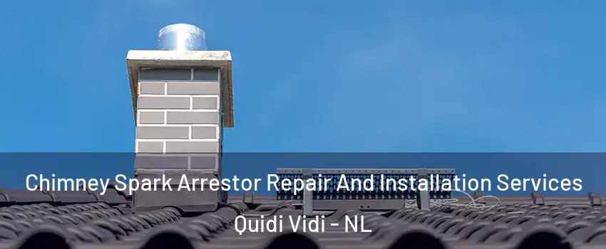  Chimney Spark Arrestor Repair And Installation Services Quidi Vidi - NL