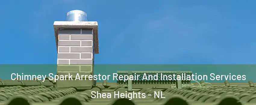  Chimney Spark Arrestor Repair And Installation Services Shea Heights - NL