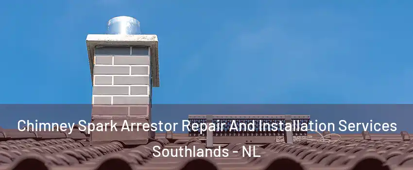  Chimney Spark Arrestor Repair And Installation Services Southlands - NL