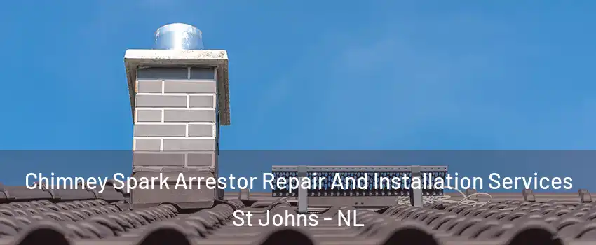  Chimney Spark Arrestor Repair And Installation Services St Johns - NL