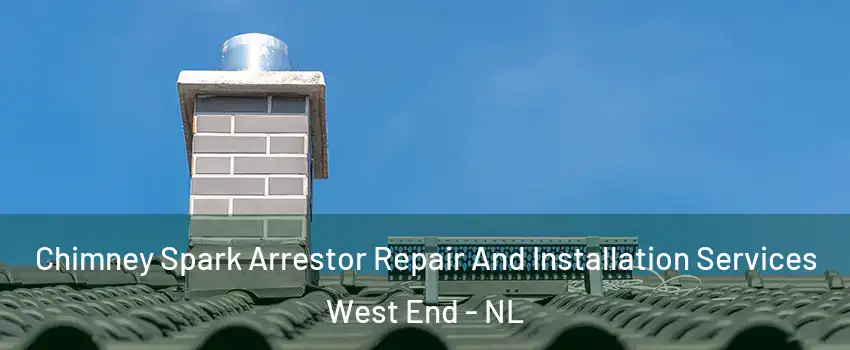  Chimney Spark Arrestor Repair And Installation Services West End - NL