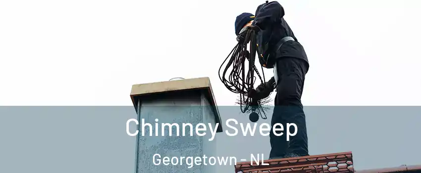  Chimney Sweep Georgetown - NL