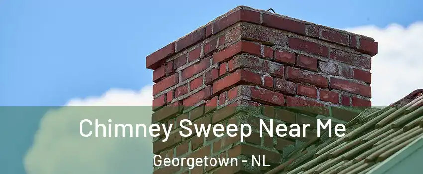  Chimney Sweep Near Me Georgetown - NL