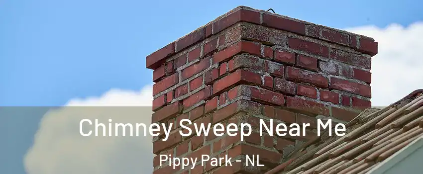  Chimney Sweep Near Me Pippy Park - NL