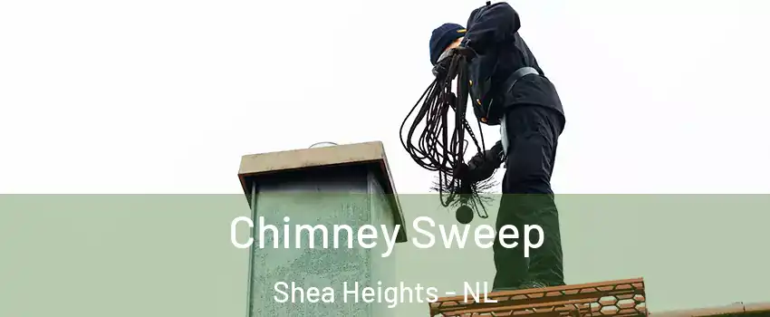  Chimney Sweep Shea Heights - NL