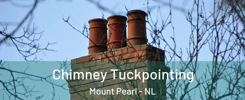  Chimney Tuckpointing Mount Pearl - NL