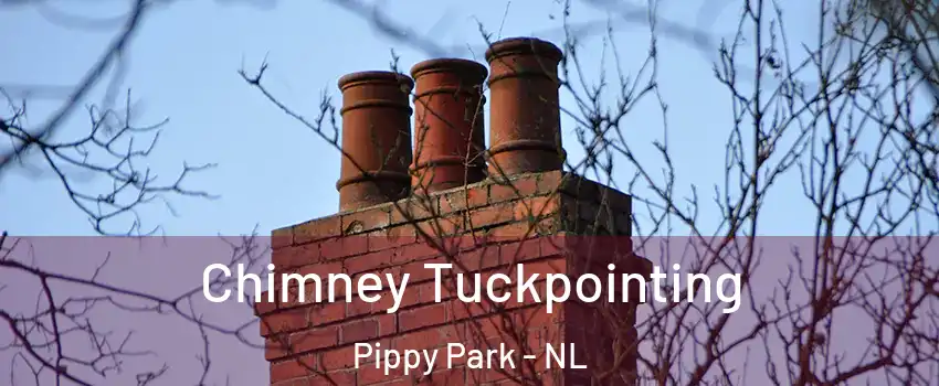  Chimney Tuckpointing Pippy Park - NL