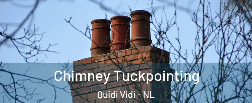  Chimney Tuckpointing Quidi Vidi - NL