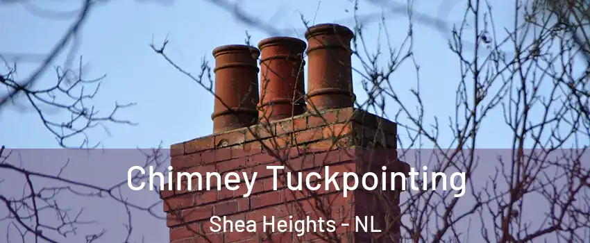  Chimney Tuckpointing Shea Heights - NL