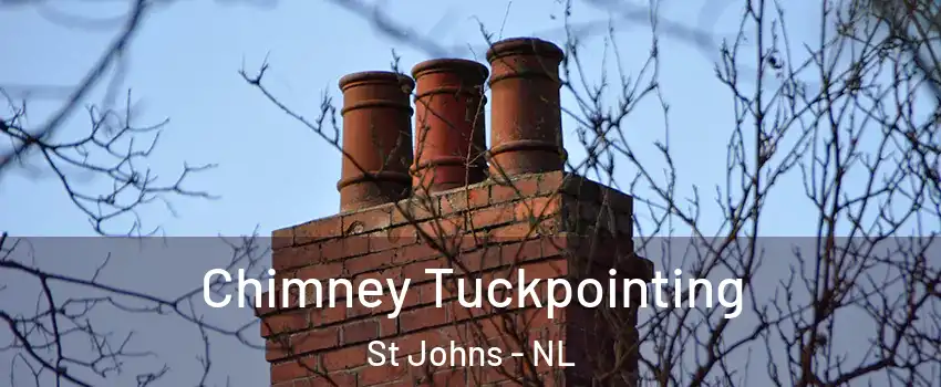  Chimney Tuckpointing St Johns - NL