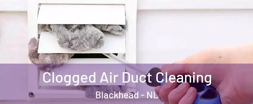  Clogged Air Duct Cleaning Blackhead - NL