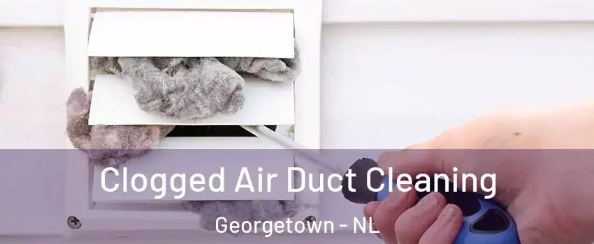  Clogged Air Duct Cleaning Georgetown - NL