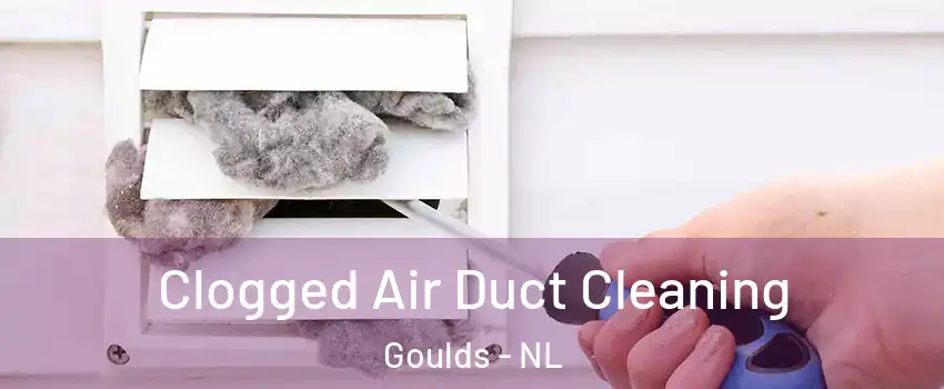  Clogged Air Duct Cleaning Goulds - NL