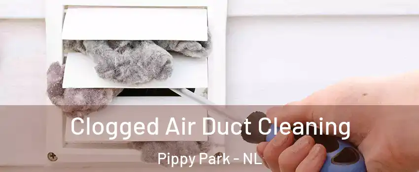  Clogged Air Duct Cleaning Pippy Park - NL
