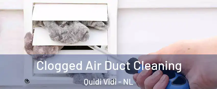  Clogged Air Duct Cleaning Quidi Vidi - NL