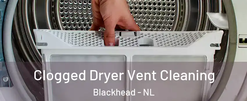  Clogged Dryer Vent Cleaning Blackhead - NL