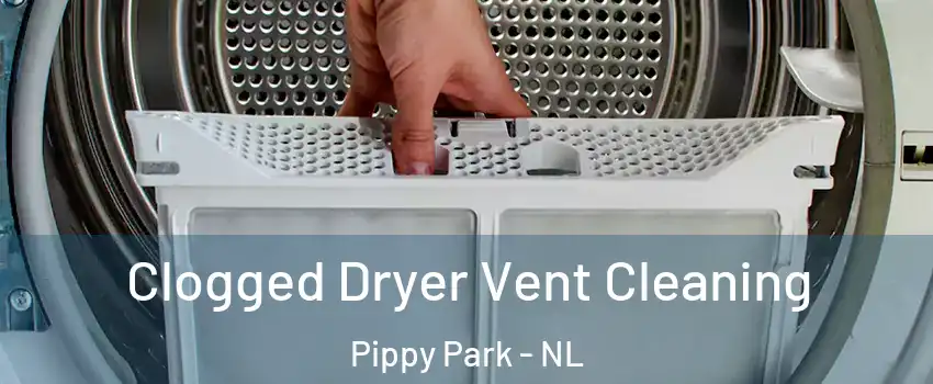  Clogged Dryer Vent Cleaning Pippy Park - NL