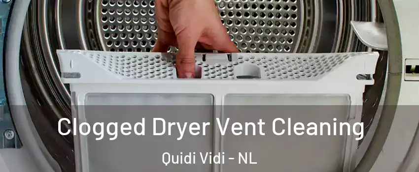  Clogged Dryer Vent Cleaning Quidi Vidi - NL