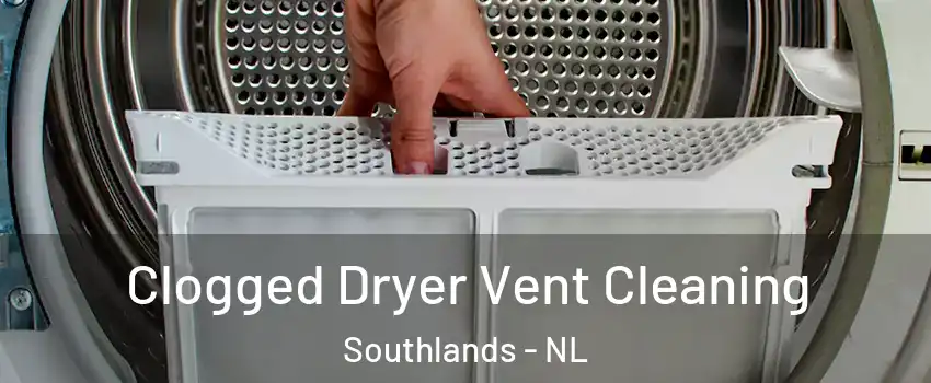 Clogged Dryer Vent Cleaning Southlands - NL