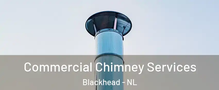  Commercial Chimney Services Blackhead - NL