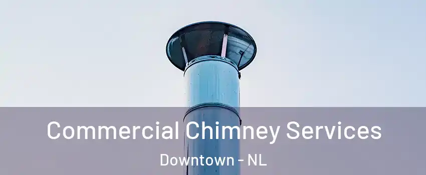  Commercial Chimney Services Downtown - NL