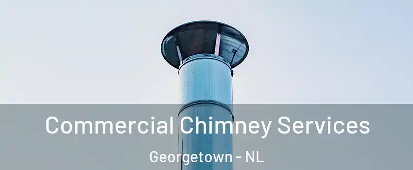  Commercial Chimney Services Georgetown - NL