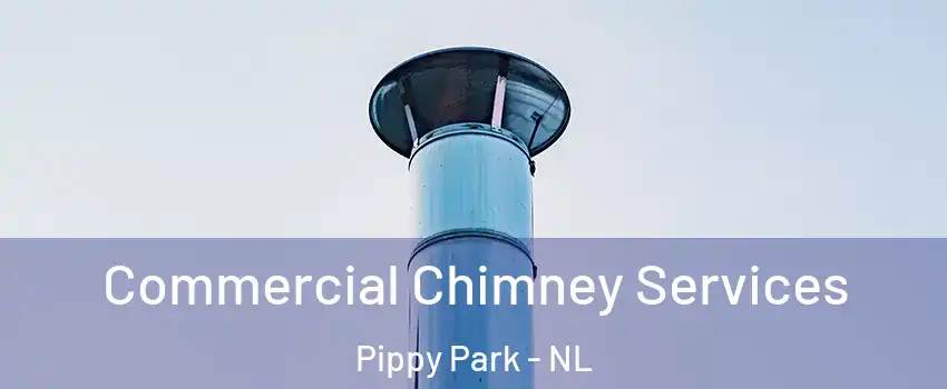  Commercial Chimney Services Pippy Park - NL