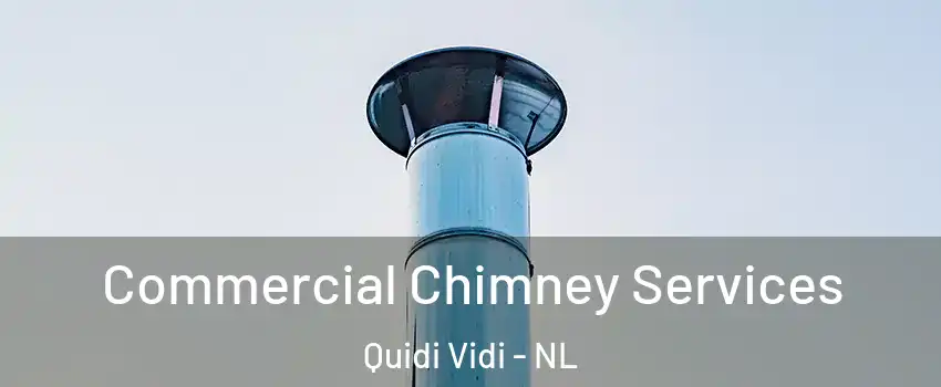  Commercial Chimney Services Quidi Vidi - NL